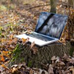 The Benefits of Remote Work for Employees and Employers