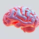 Positive Interim Results on Trontinemab Validate Brainshuttle Technology for Alzheimer Disease Treatment – Psychiatric Times