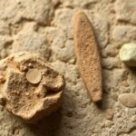 Stone Tools Discovered in China Resemble Neanderthal Technology Used in Europe, Creating a Middle Stone Age Mystery – Smithsonian Magazine